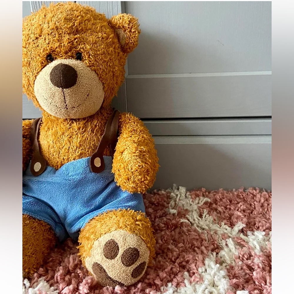 NORWEGIAN Teddy Bear